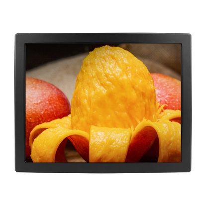 IP65 Waterproof 15'' IR Touch Monitor Dust Proof And Vandal Proof