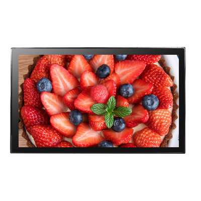 Anti Glare And Anti Vandal PCAP Touch Monitor 18.5 Inch TFT LCD